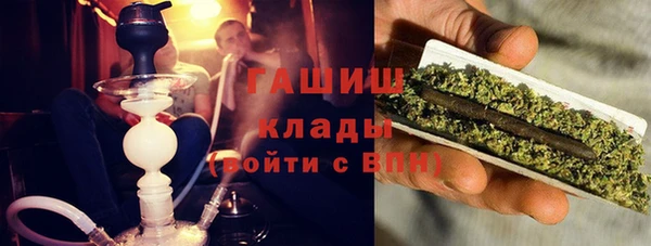прущие грибы Надым