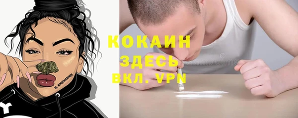 прущие грибы Надым