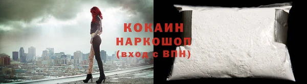 прущие грибы Надым