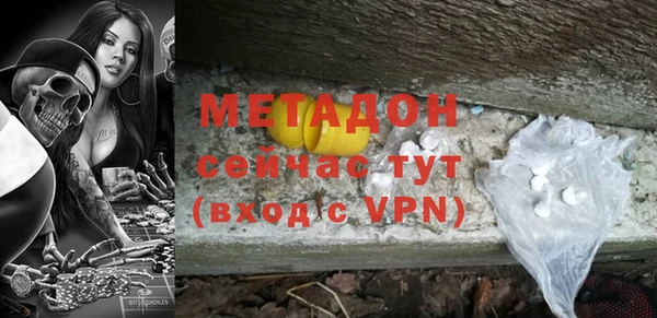 прущие грибы Надым