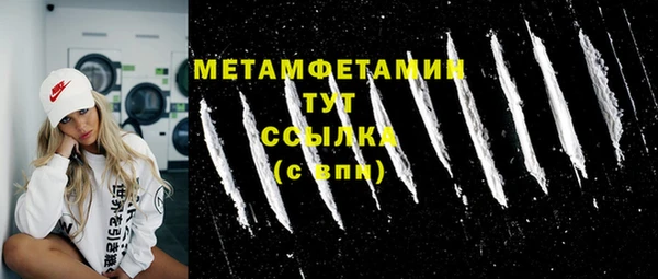 прущие грибы Надым