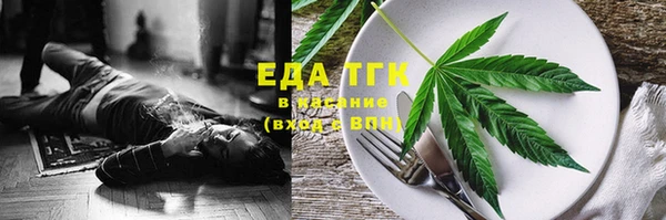 прущие грибы Надым