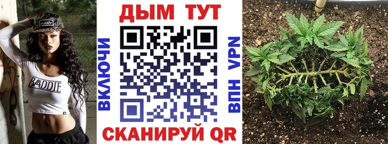 Бошки марихуана план  Тырныауз 
